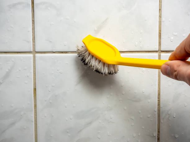 Best Affordable Mold Removal  in Bloomfield, NY