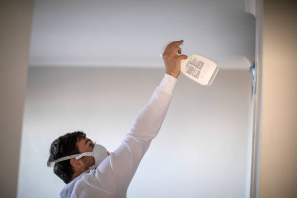 Best Mold Remediation  in Bloomfield, NY