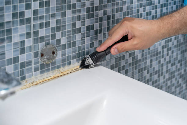 Best Professional Mold Removal  in Bloomfield, NY