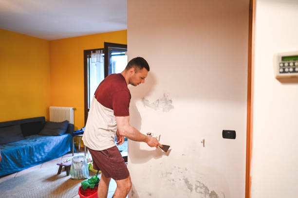 Best Commercial Mold Removal  in Bloomfield, NY